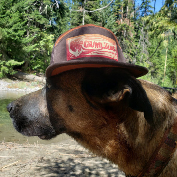 Recaps ChumLogo Trucker Hat